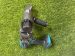 MAKITA DSC121ZKX1 18v Threaded Rod Rebar Cutter LXT Brushless Ex Demo