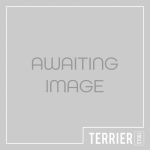 Trend MS/P/200P Pro Modular Storage Case 200 with Organiser